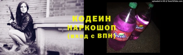 шишки Краснослободск