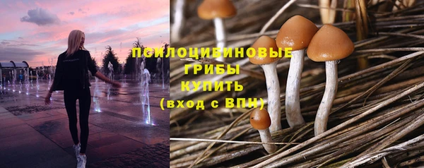 мяу мяу кристалл Лагань
