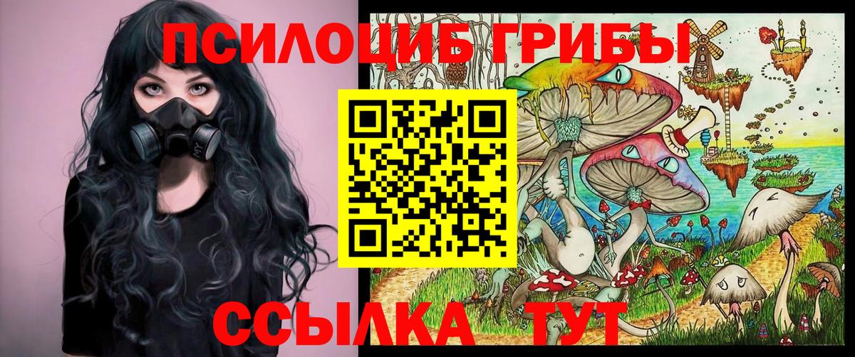 Галлюциногенные грибы GOLDEN TEACHER Красноперекопск