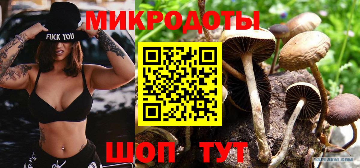 Галлюциногенные грибы прущие грибы  Вход с VPN  Галлюциногенные грибы мицелий  Красноперекопск 