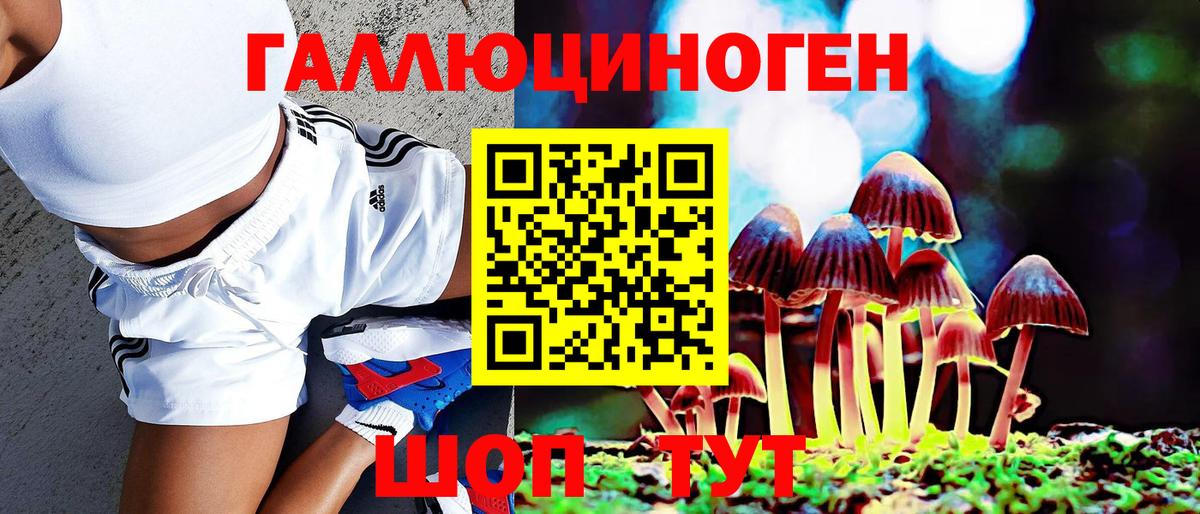 Псилоцибиновые грибы Psilocybine cubensis Красноперекопск
