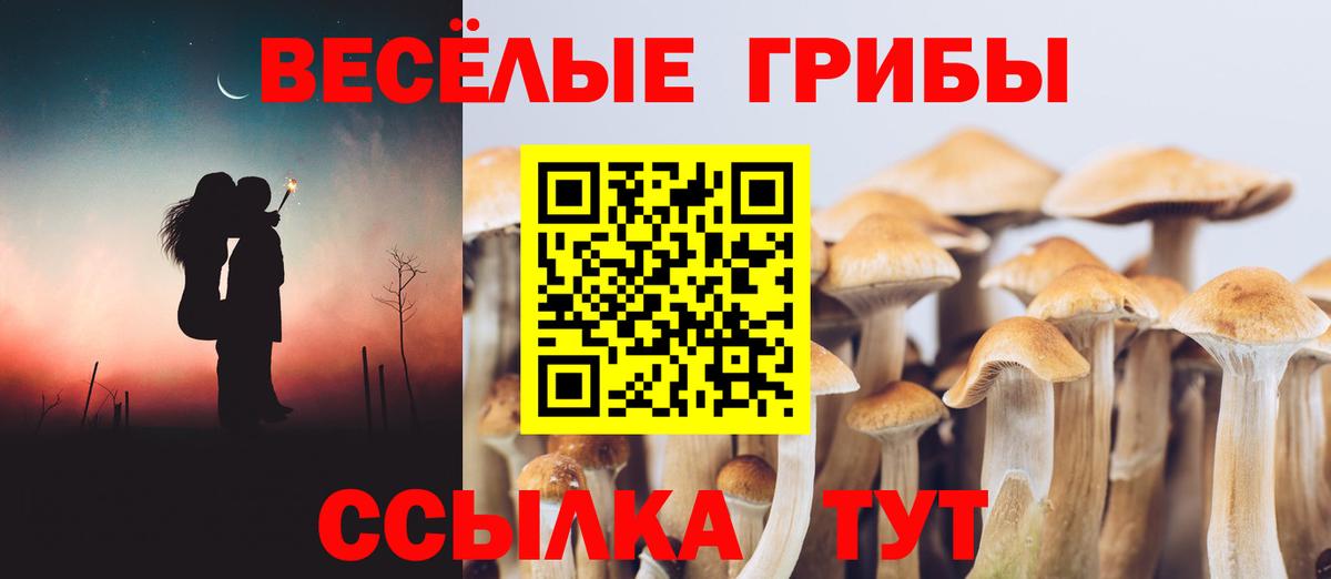 Галлюциногенные грибы ЛСД  Красноперекопск  Галлюциногенные грибы Magic Shrooms 
